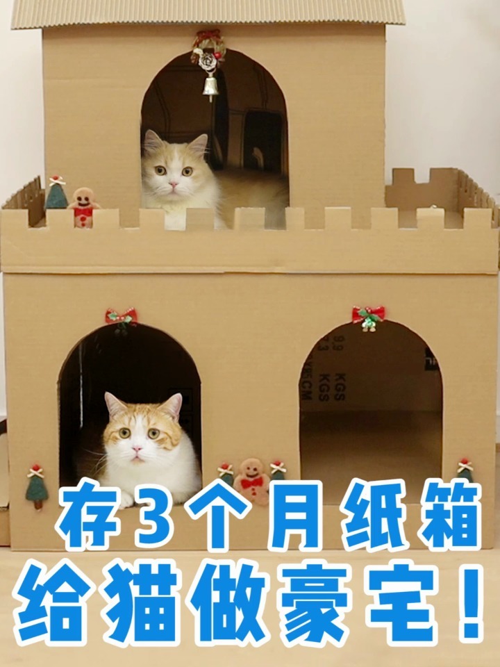 用废旧纸箱,零成本手工给猫做别墅!