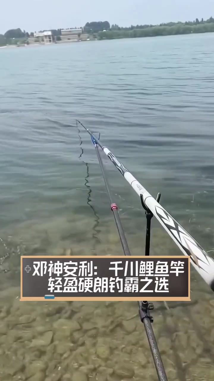 邓神安利:千川鲤鱼竿,轻盈硬朗钓霸之选