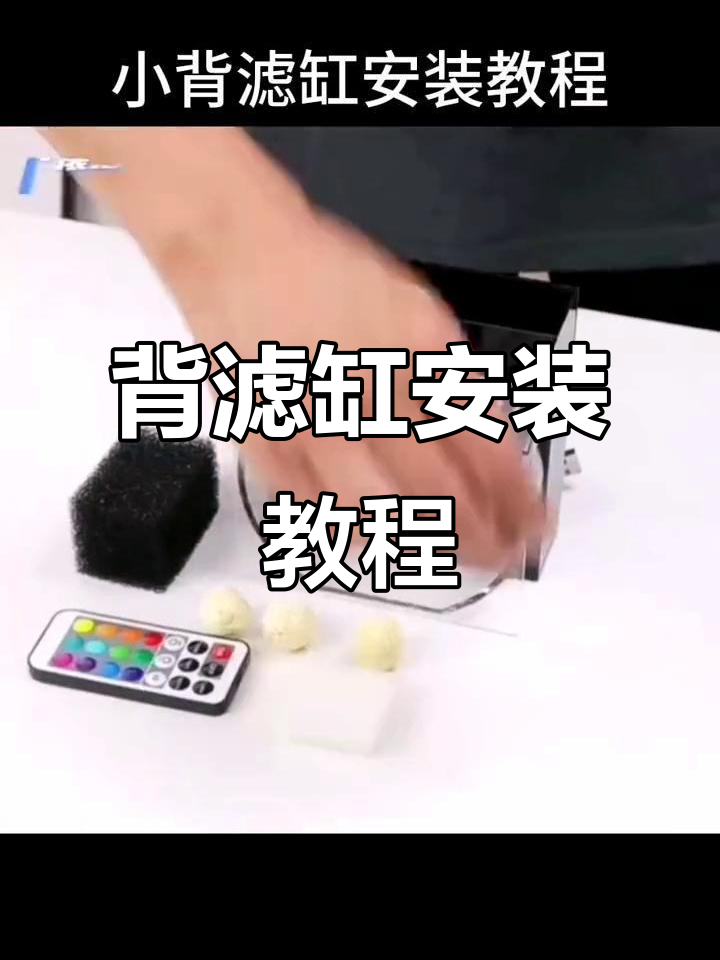 小型背滤缸安装全攻略,轻松搞定水母养殖