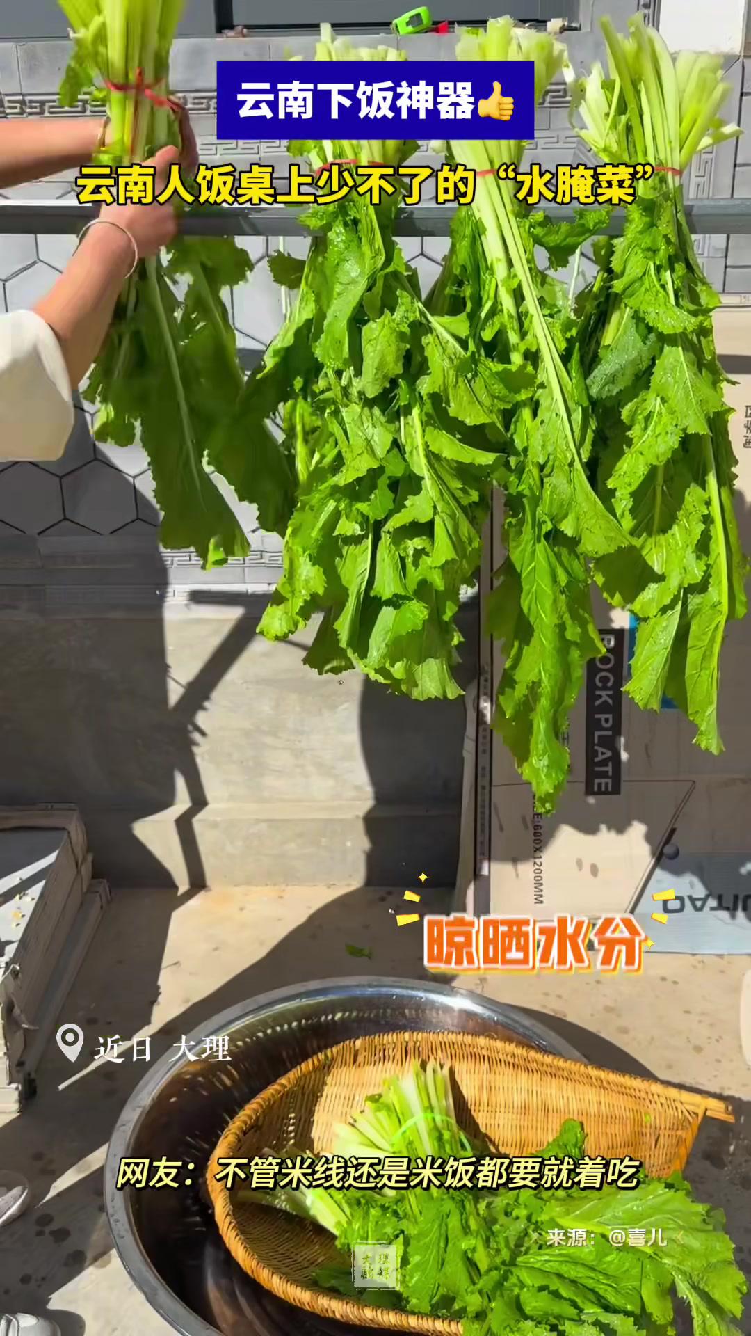 云南人的下饭神器!这道云南人饭桌上必不可少的“水腌菜”你知道怎么制作吗?在大理爱上生活 风