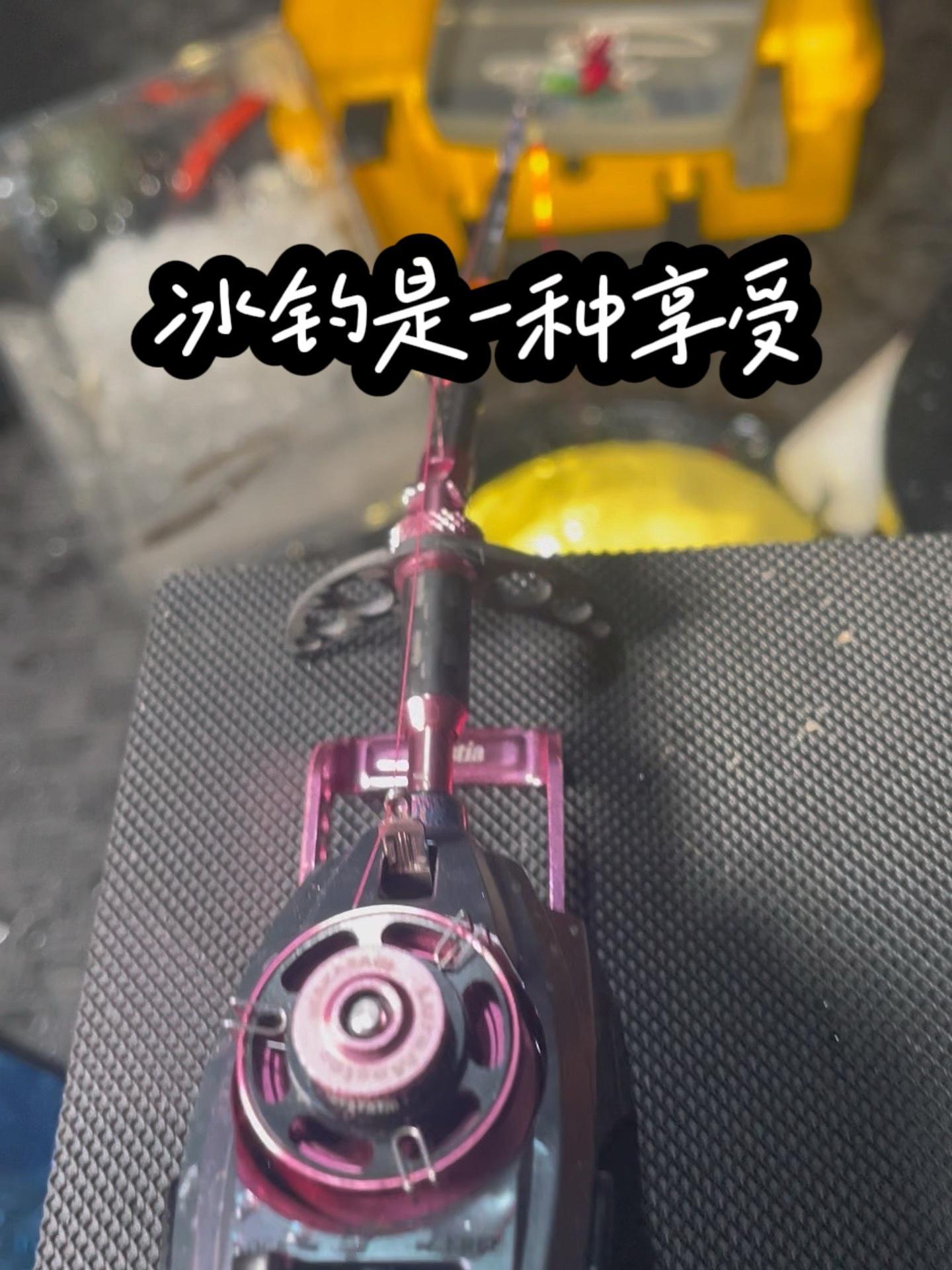 冰钓是一种享受 冰钓 冰钓竿 冰钓公鱼 公鱼轮 达瓦公鱼轮