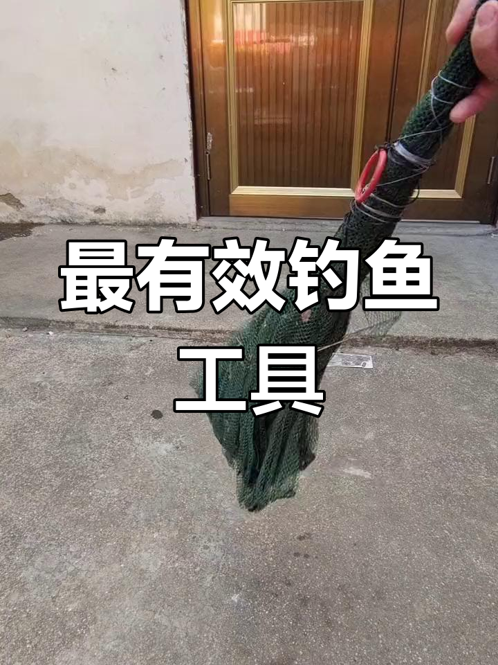 折叠鱼笼抓虾效果测试