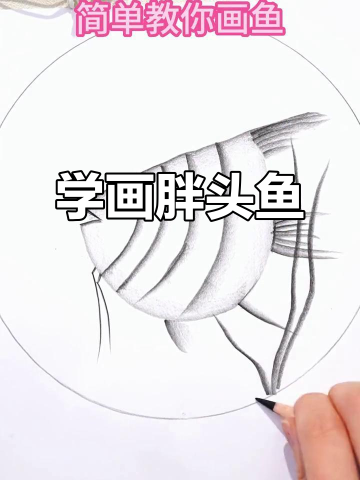 轻松学会炭笔胖头鱼画法,简单又有趣!