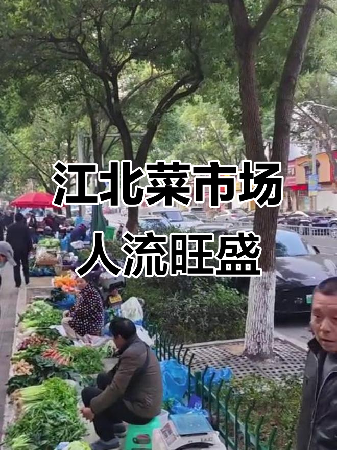 江北广厦怡庭菜市场:早上人流量大,周边店铺值得一看