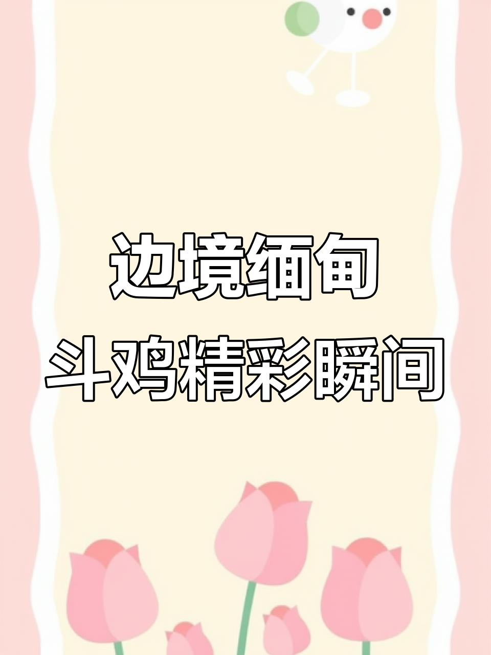 云南边境缅甸斗鸡大赏,激烈对决一触即发