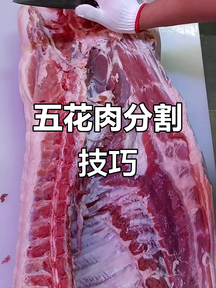 精准猪肉分割技巧,轻松掌握五花肉与白条肉的切割方法
