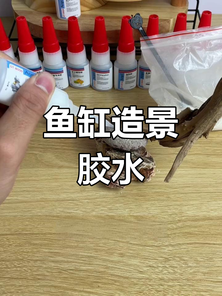 鱼缸造景专用胶水,快速固定木头石头