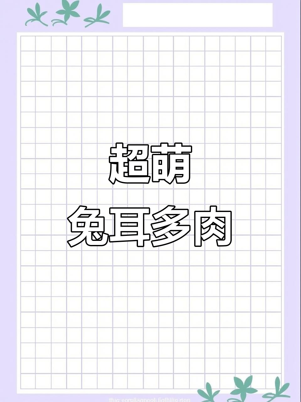 孙悟空兔耳多肉植物，萌趣造型超可爱