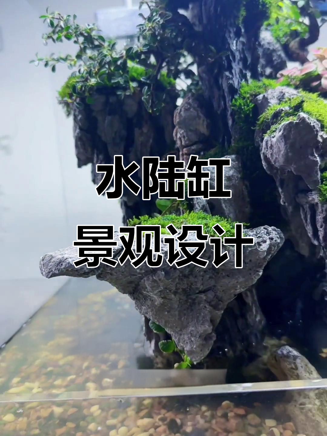 80cm水陆缸造景，原石与科幻元素完美结合