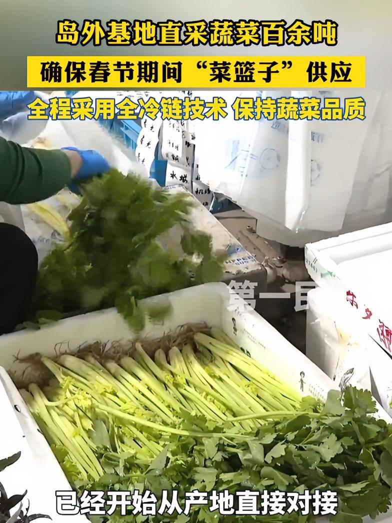 三亚从岛外基地直采蔬菜百余吨,确保春节期间“菜篮子”供应(来源:三亚第一民生)三亚