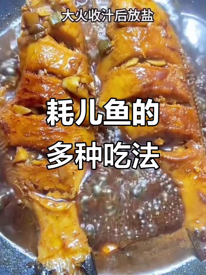 耗儿鱼火锅嫩滑,红烧更美味,老少皆宜!