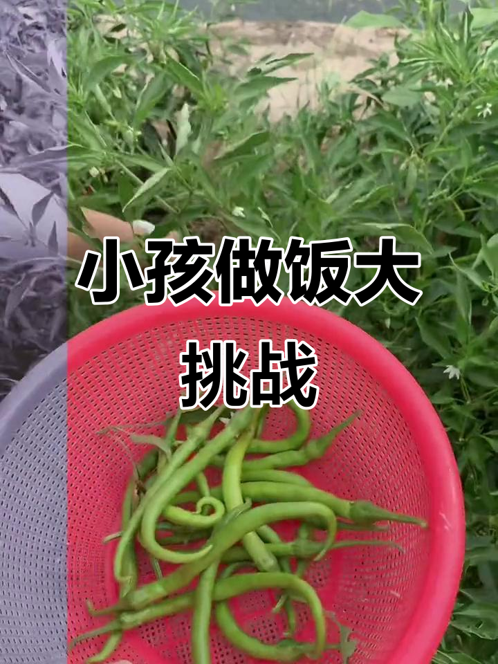 小朋友亲自下厨,萌娃学做菜