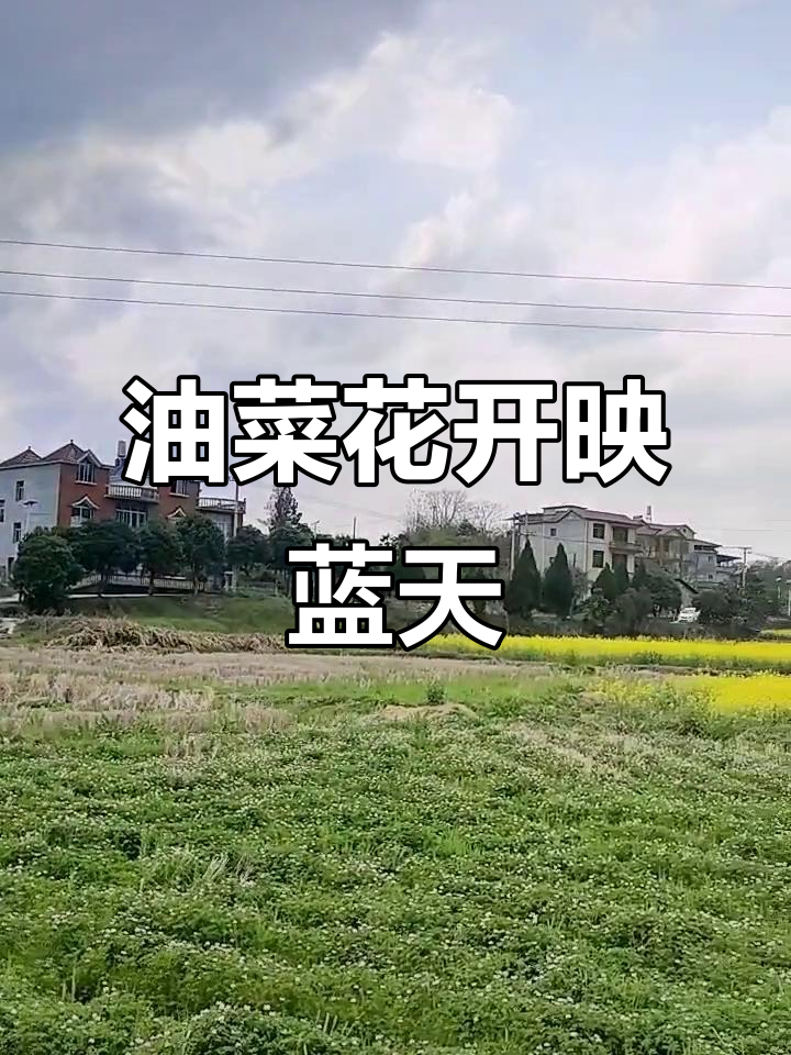 江西九江凤东村油菜花海,蓝天下的美丽田园风光