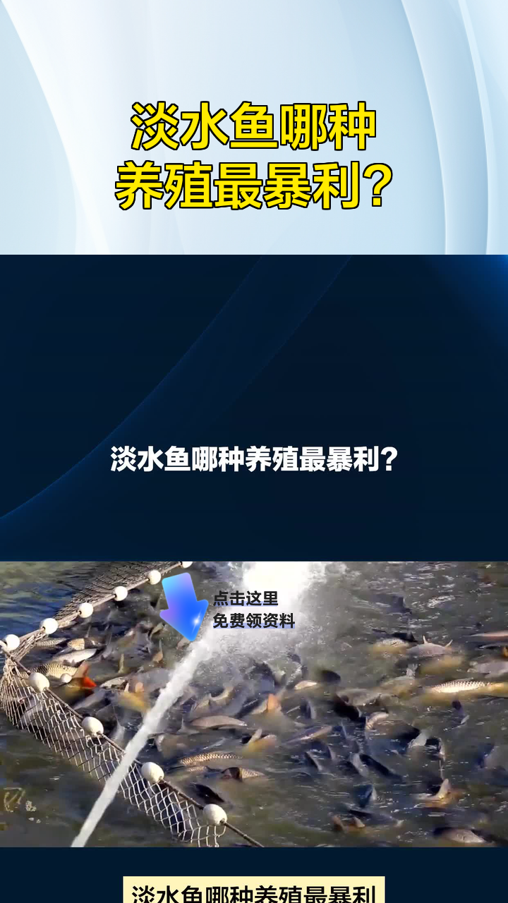 淡水鱼哪种养殖最暴利?