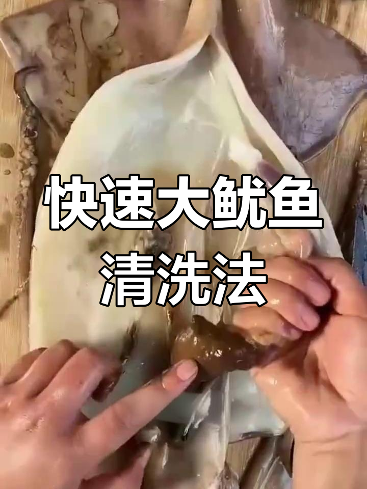 大鱿鱼清理全攻略,教你轻松去内脏和墨汁