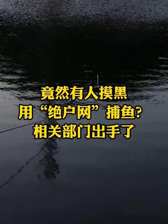 竟然有人摸黑用“绝户网”捕鱼?相关部门出手了!捕鱼 生态环境 严查 河南 保护环境