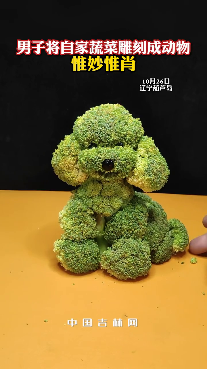 男子将自家蔬菜雕刻成动物惟妙惟肖,男子:根据蔬菜形状发挥!