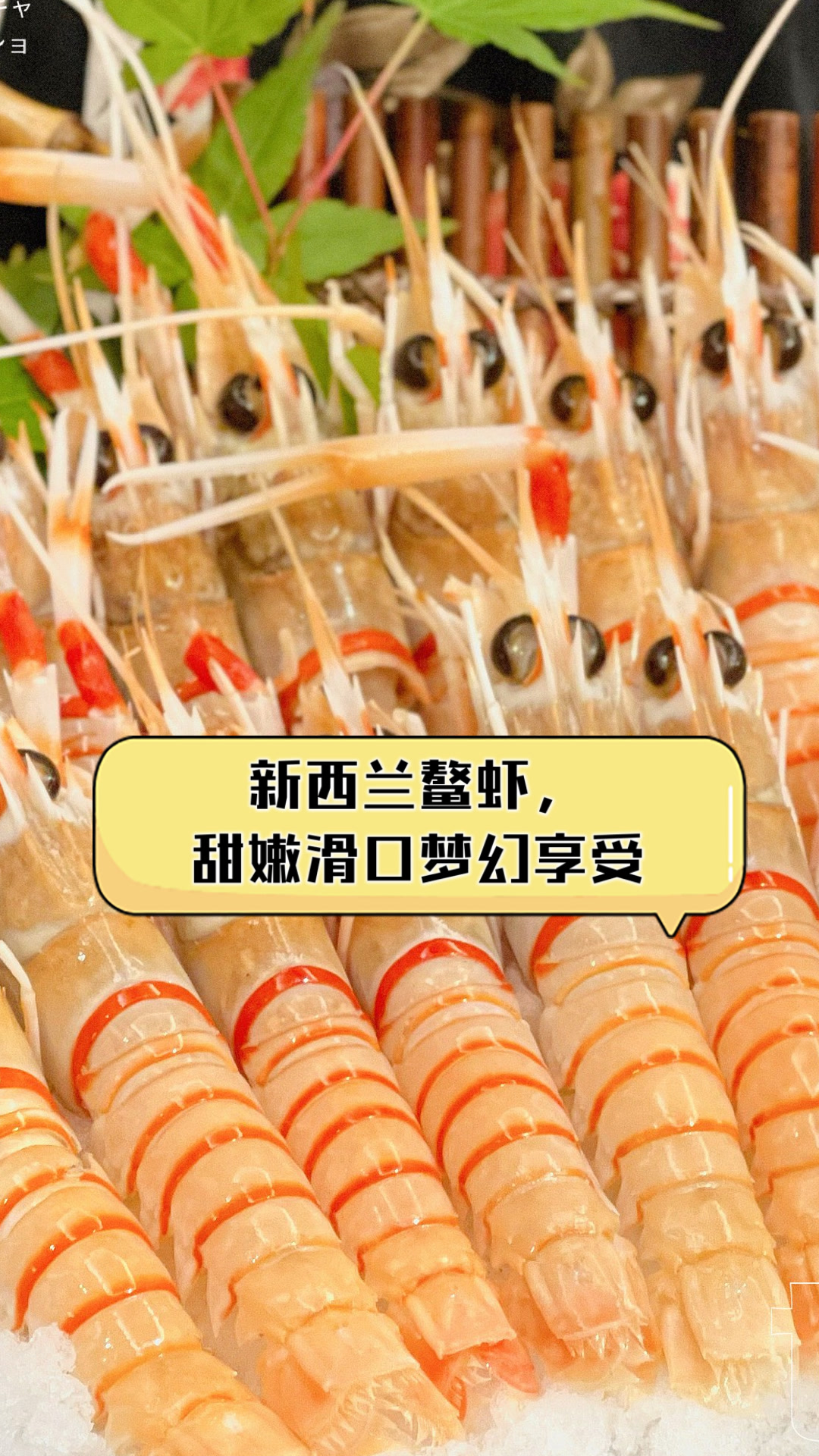 新西兰鳌虾，甜嫩滑口梦幻享受