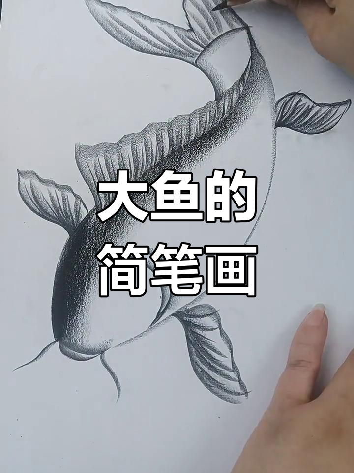 轻松学画大鱼