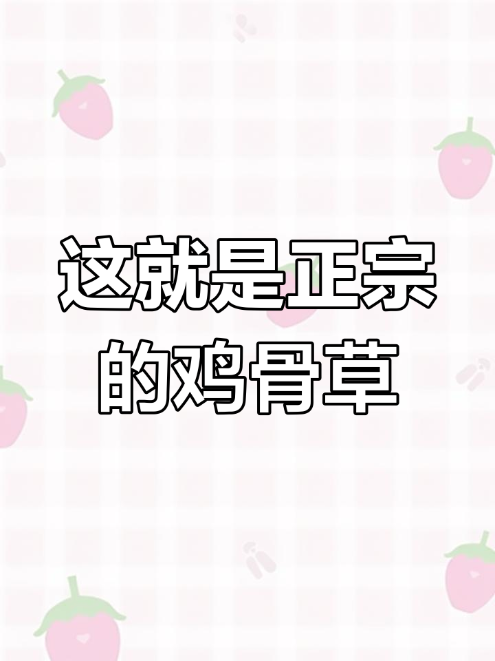 正宗鸡骨草,你见过吗?这种植物竟然这么丑!