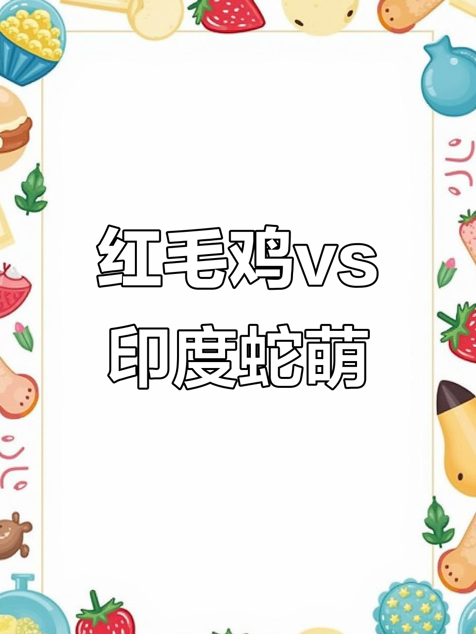 红毛鸡与印度蛇萌:两种捕蛇高手的致命对决