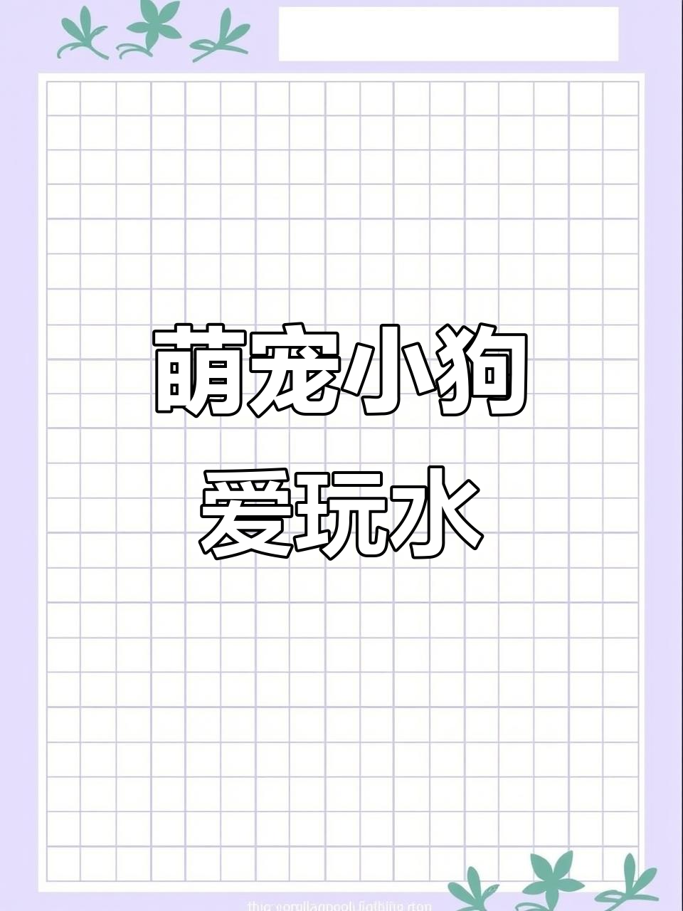 小狗成精了!爱吃肉骨头,陪我游泳超可爱