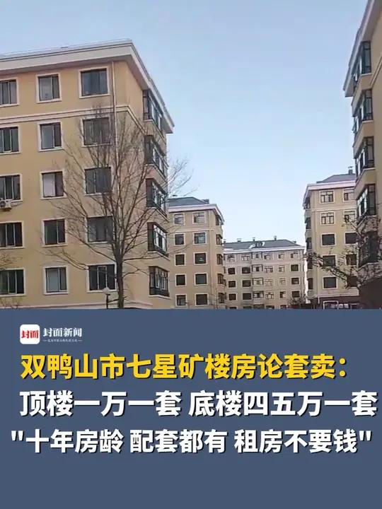 黑龙江双鸭山市七星矿楼房论套卖:顶楼一万一套,底楼四五万一套,“十年房龄,配套都有,租房不
