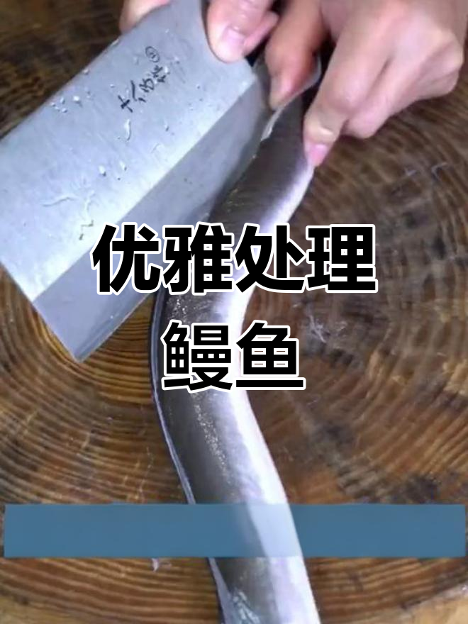 在家轻松处理鳗鱼,掌握宰杀技巧