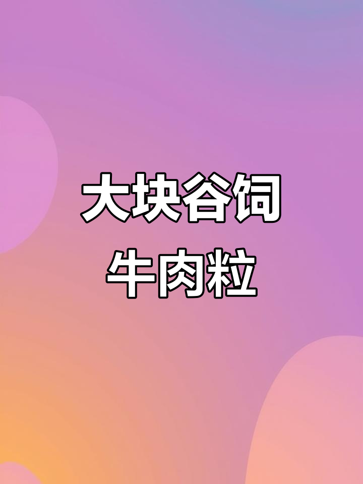 雪花牛肉粒炖煮火锅,口感鲜美,真材实料不容错过