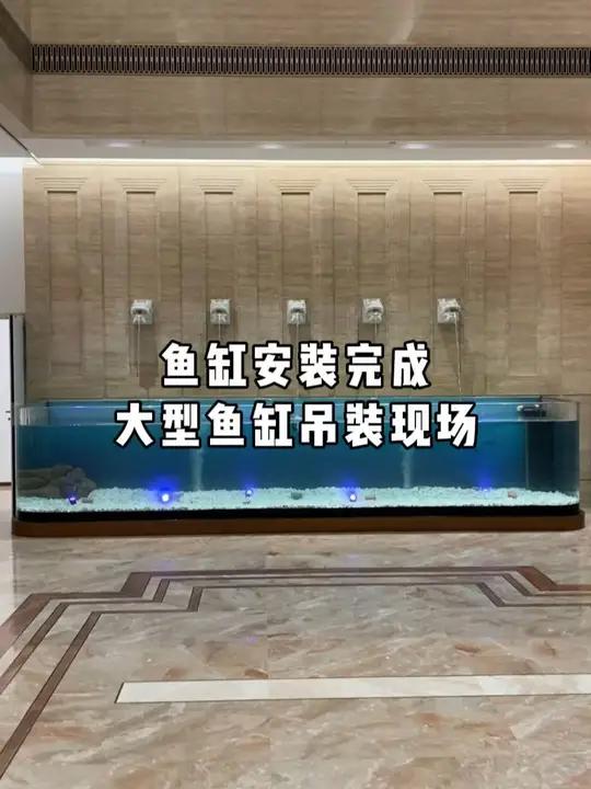大型鱼缸吊装现场,鱼缸安装完成