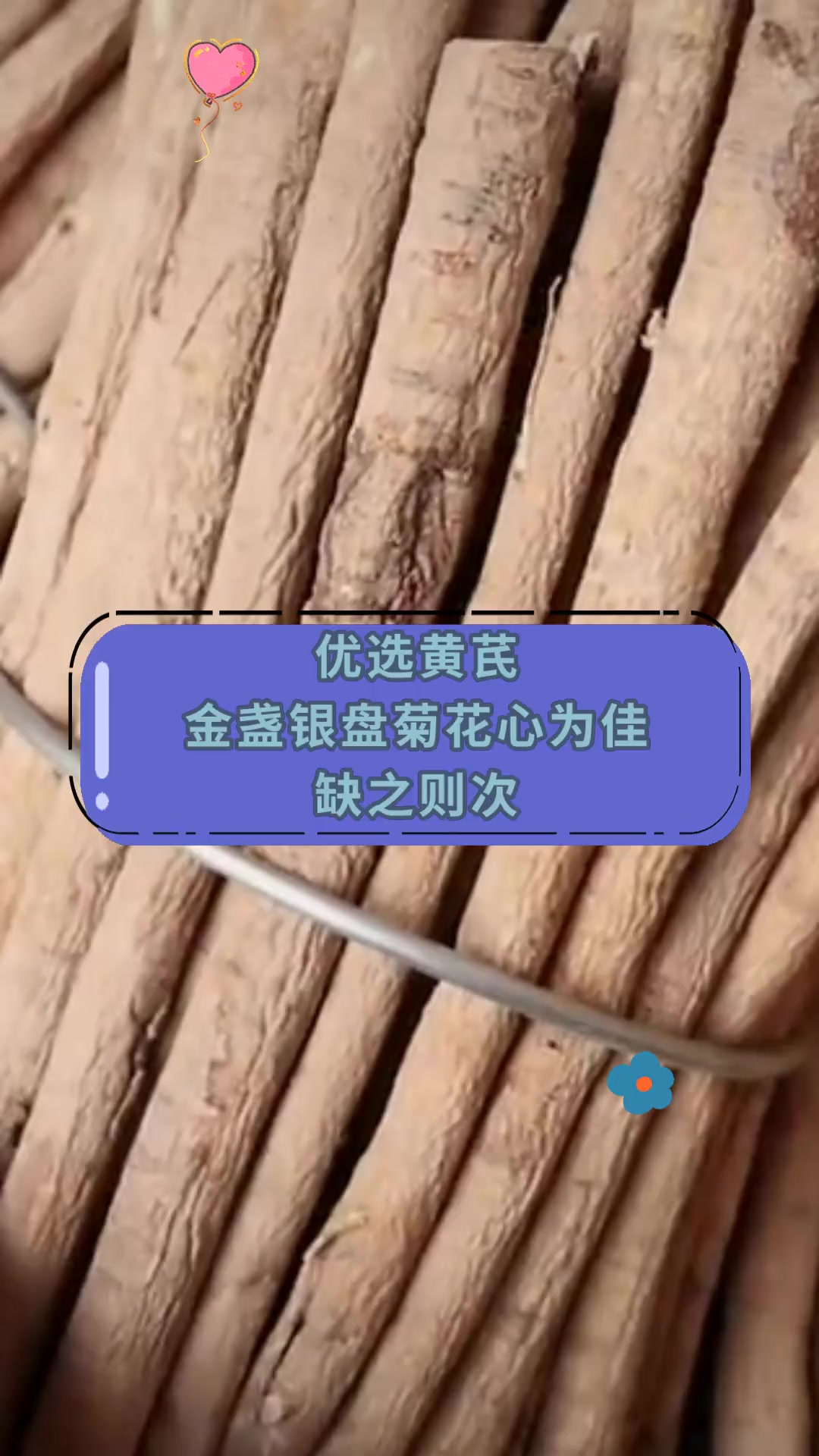 优选黄芪 金盏银盘菊花心为佳 缺之则次