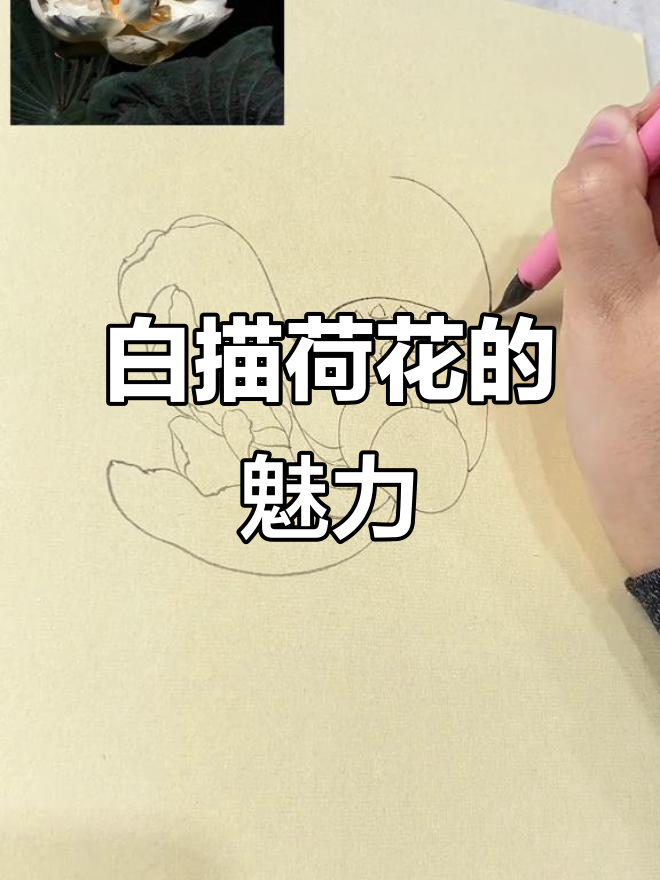 荷花工笔画:白描技艺与自然之美