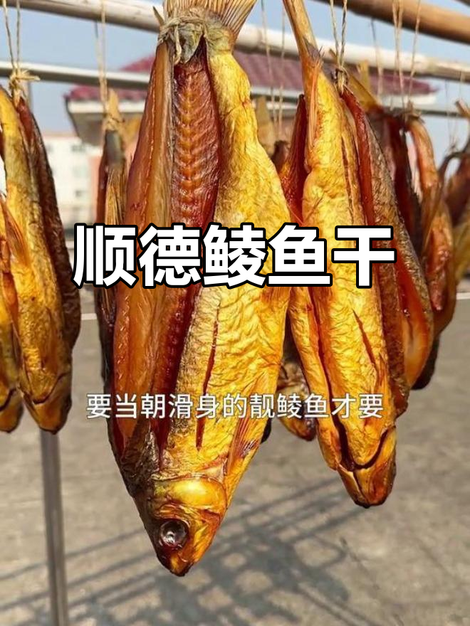 顺德鲮鱼干,独特风味,让人回味无穷!