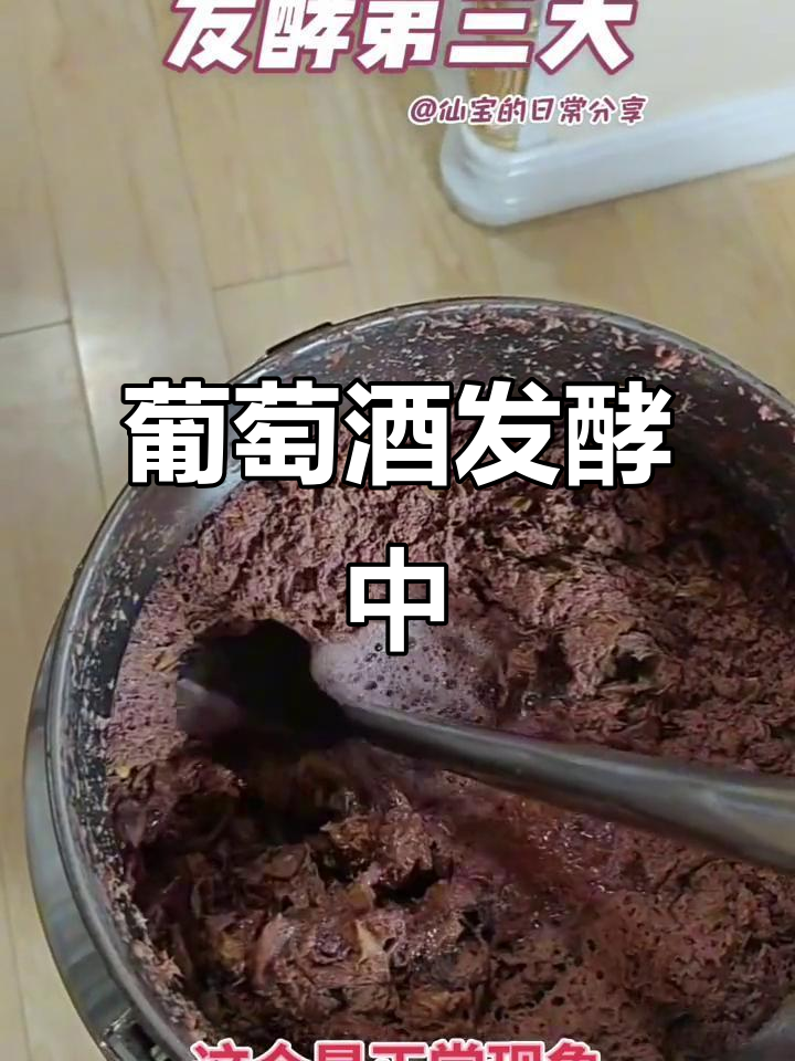 葡萄酒发酵第三天,回顾过程请看前两集视频