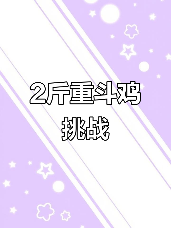 一对两斤多虎毛公母斗鸡,角力激烈真有趣