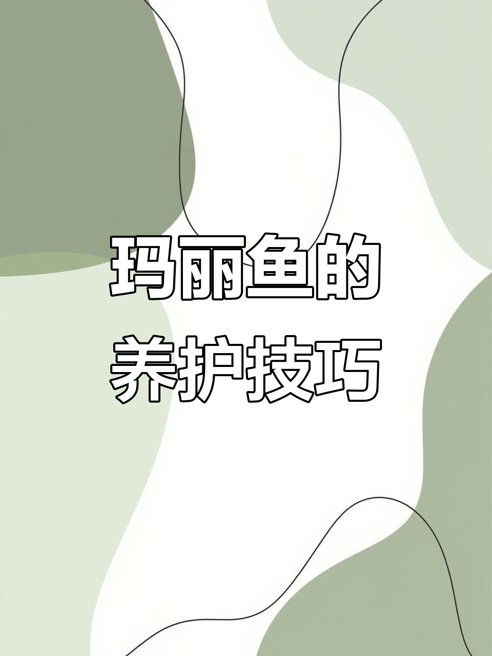 玛丽鱼：热带小精灵，照顾全攻略