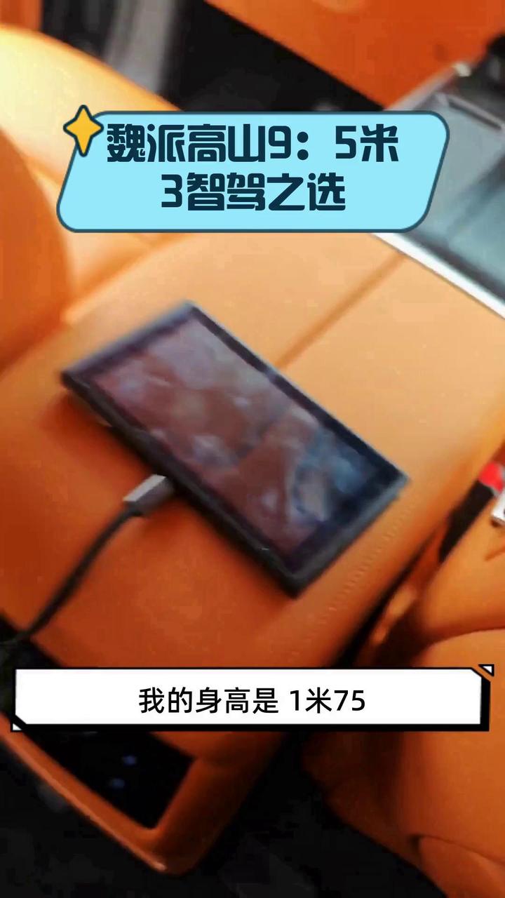 魏派高山9:5米3智驾之选