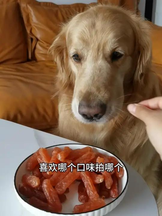 鸡肉鸭肉风干肠,狗狗可爱吃了,Q弹有嚼劲 萌宠出道计划 铲屎官的乐趣 萌宠好物 狗狗零食推