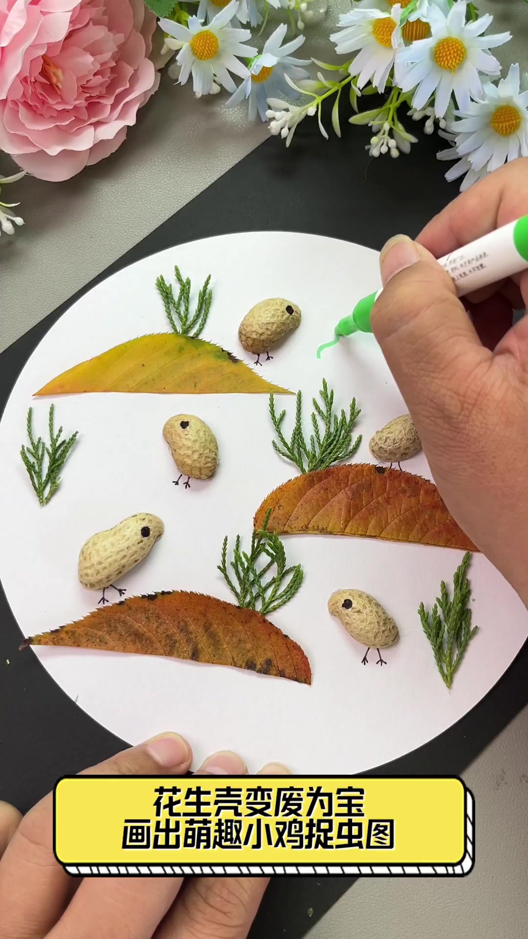 花生壳变废为宝,画出萌趣小鸡捉虫图