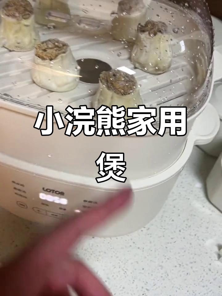 宝妈必备,小浣熊蒸煮锅,炖汤方便又安全