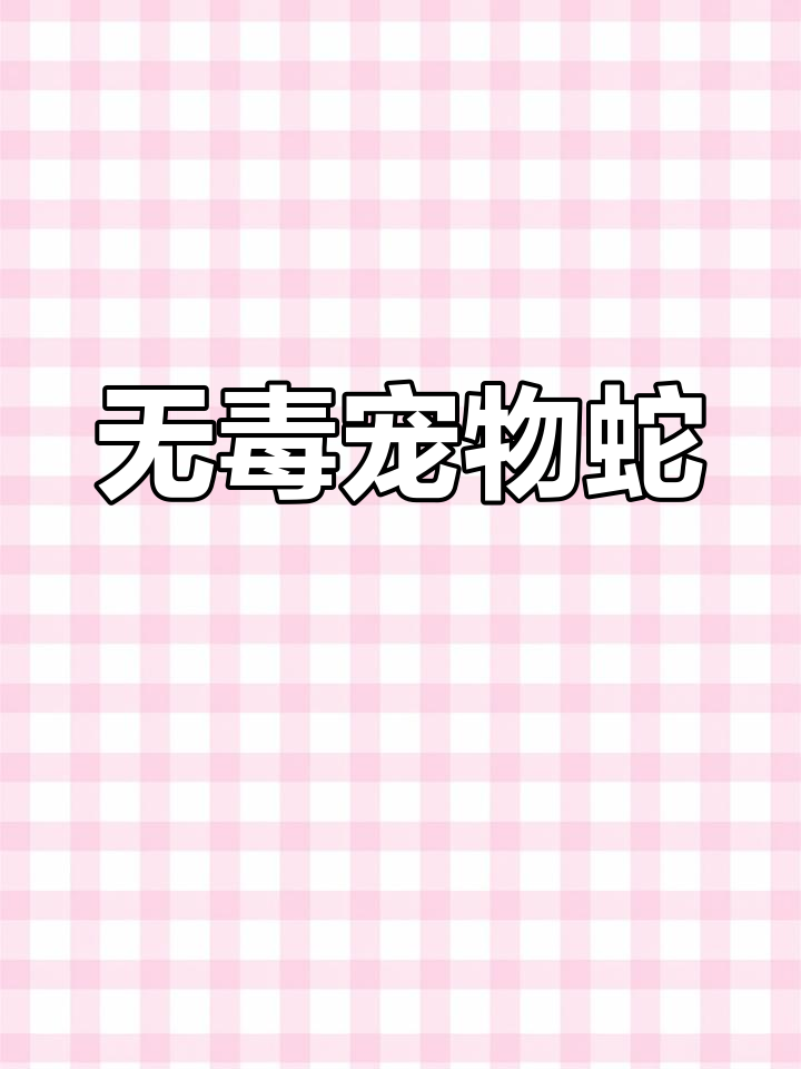 乌梢蛇:敏捷无毒的宠物选择