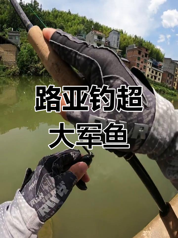 钓获超级大军鱼,芦溪河亮片成功引诱!
