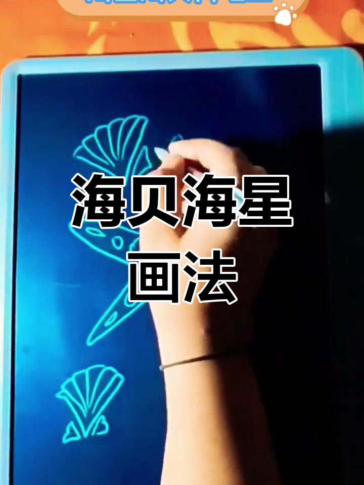 儿童简笔画:海星与贝壳
