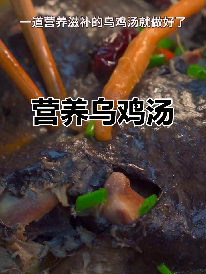 秋季滋补乌鸡汤，暖心又美味！学会这道汤招待客人超有面子