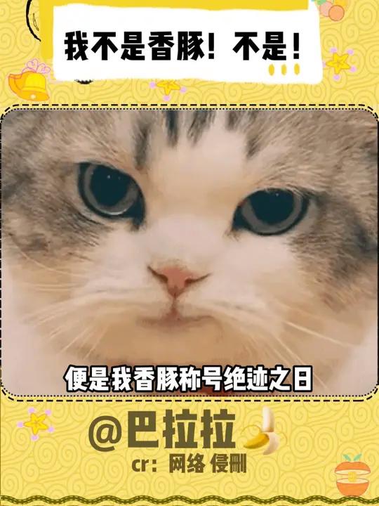 首先,我不是香豚;其次,全网征集头像;最后,干脆面我恨你 看一遍笑一遍 内容过于真实 抽象