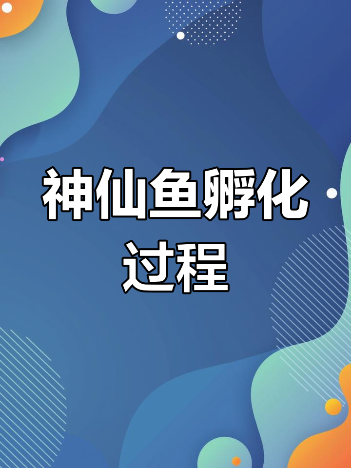 神仙鱼第三次产卵孵化全过程,小鱼起飞惊险时刻