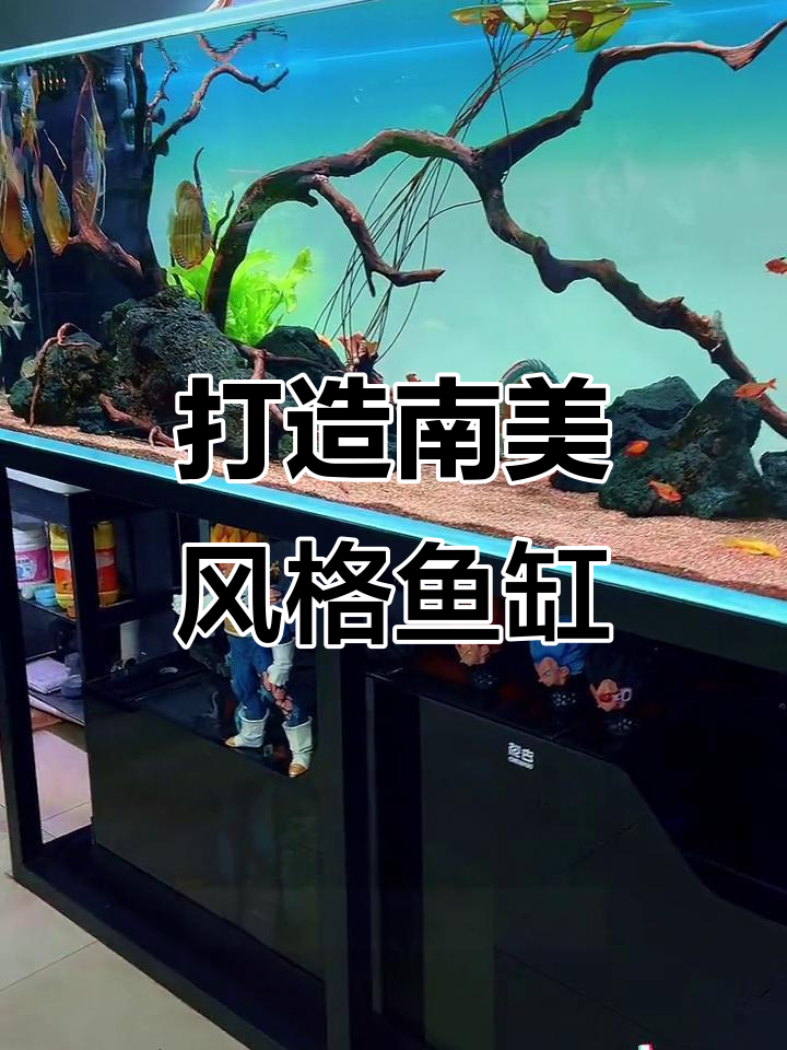 南美缸造景全攻略:沉木、底沙与灯光完美搭配