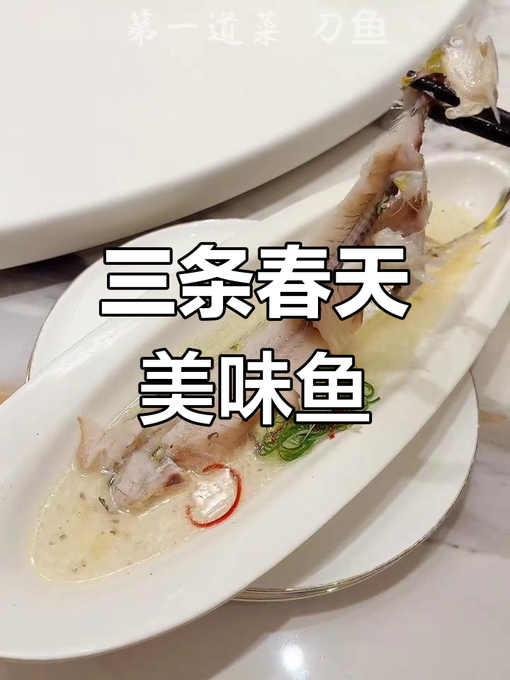 春天的味道大揭秘:刀鱼、河豚与鲥鱼的完美搭配