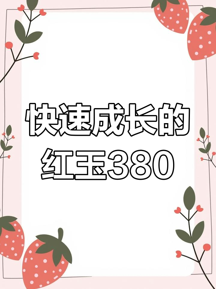 红玉380大红公鸡苗,生长迅速体型巨大
