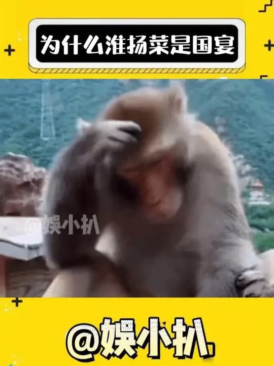 淮扬菜:我能出圈,全靠各位太优秀 国宴 美食 万万没想到